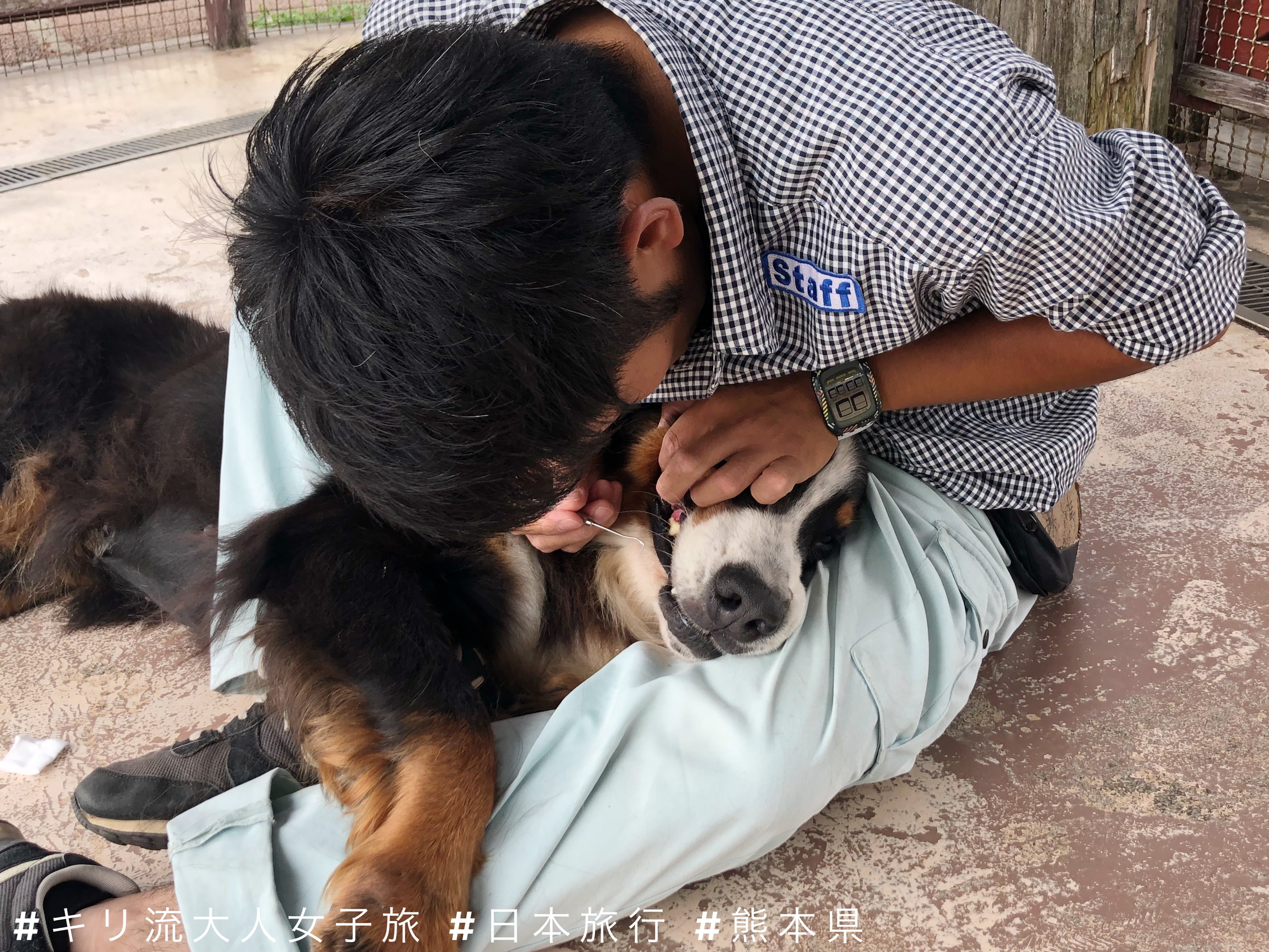 親子遊推介 機場直出玩足一日 熊本近郊自駕遊路線 阿蘇ミルク牧場阿蘇火山 阿蘇神社 Kiri San Com おしゃれきり教室 親子遊推介 機場直出玩足一日 熊本近郊自駕遊路線 阿蘇ミルク牧場阿蘇火山 阿蘇神社 Kiri San Com おしゃれきり教室