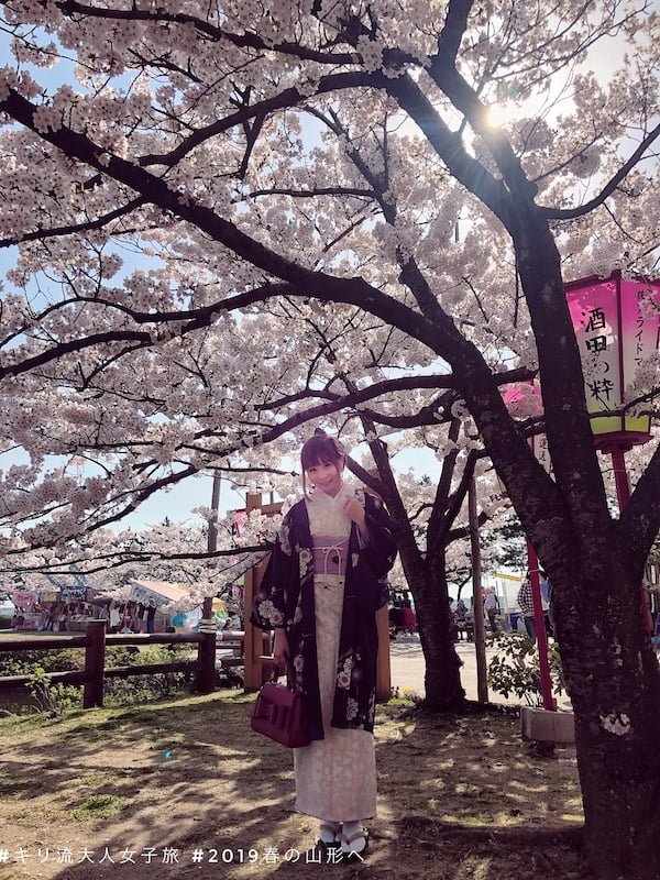 日本東北賞櫻名所 氣淑風和的山形県酒田市 日和山公園 櫻花夜櫻 Kiri San Com おしゃれきり教室