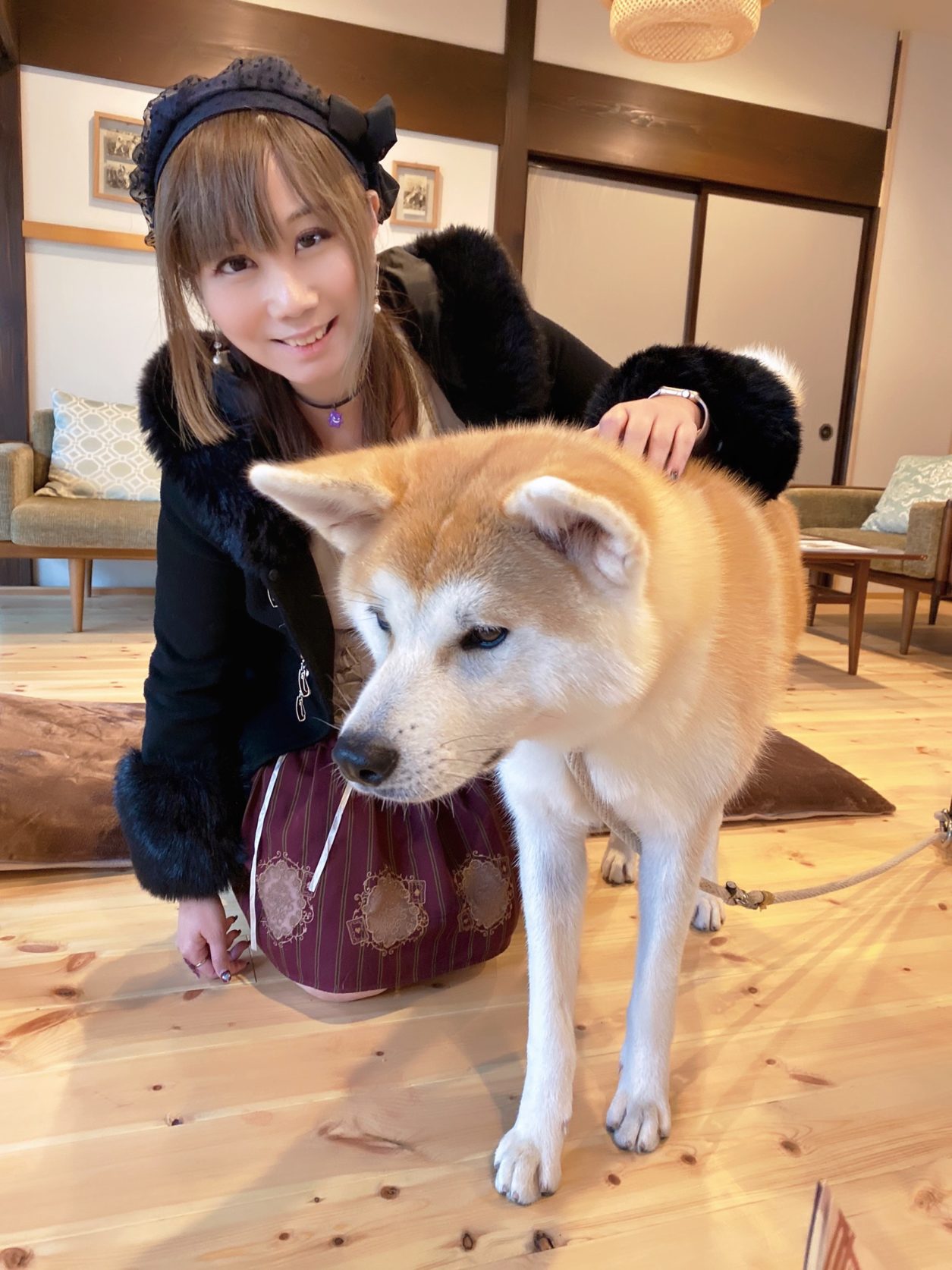 東北jr Pass自由行 秋田縣初心者推介 田沢湖巡迴巴士旅 角館樺細工 秋田犬見學 1 Day Trip 行程安排 溫馨提示 Kiri San Com おしゃれきり教室