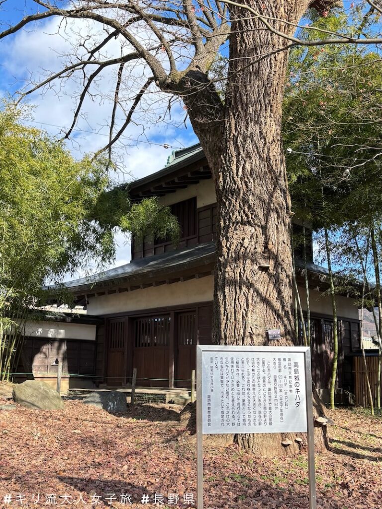 高島城屬長野縣高島藩，而高島藩的家族就叫諏訪氏。2024年以日本南北朝北条時行的故事展開的漫畫與動畫作品《擅長逃跑的殿下》讓「諏訪頼重」家傳戶曉，也許人氣已經超越了武田勝賴的母親「諏訪御料人（由布姫）」。